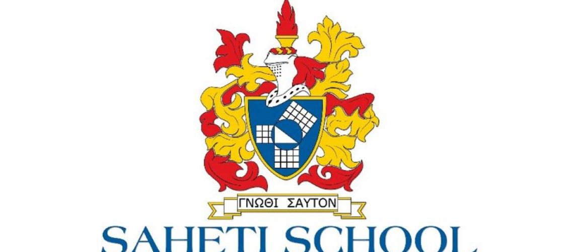 large_7d1c3dae8_Saheti